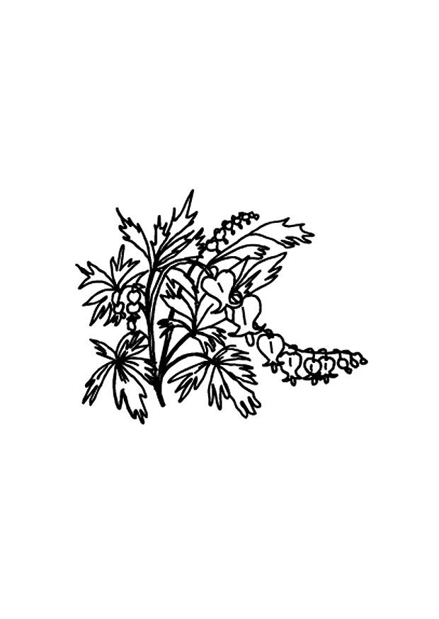 bloemen Kleurplaat bloemen