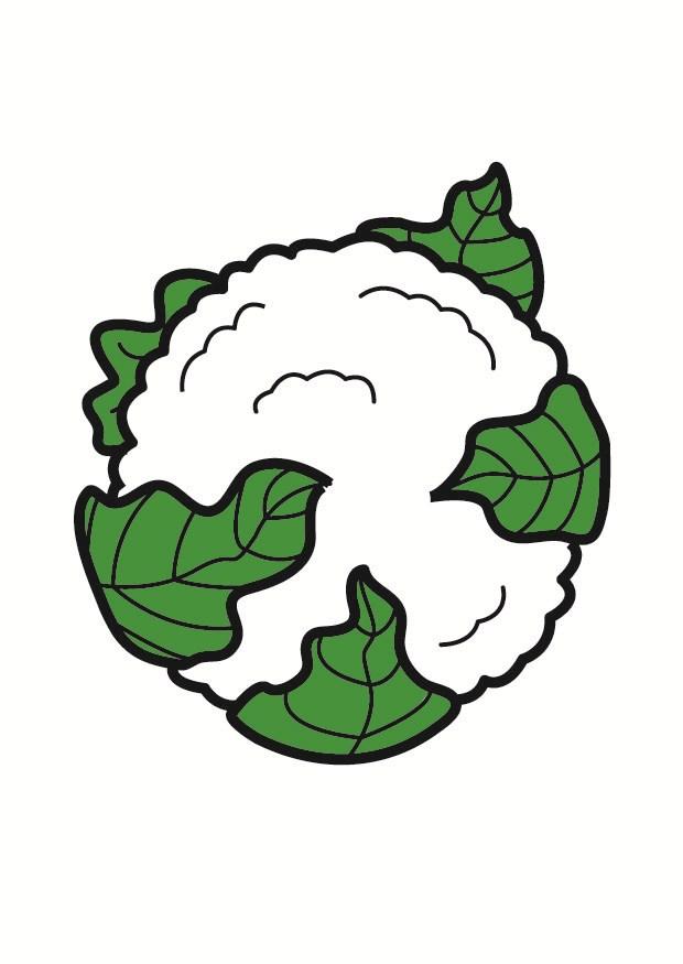 bloemkool Afbeelding bloemkool