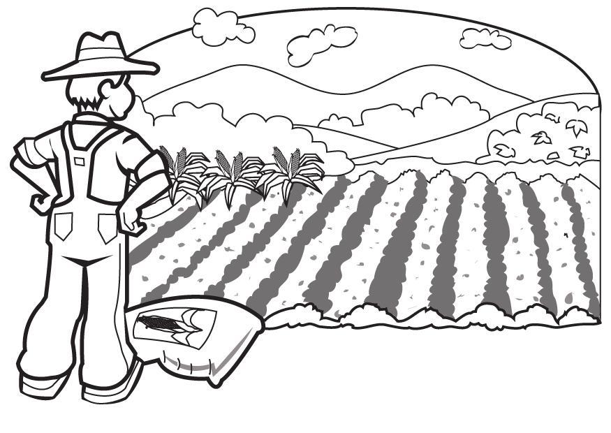 boer Kleurplaat boer