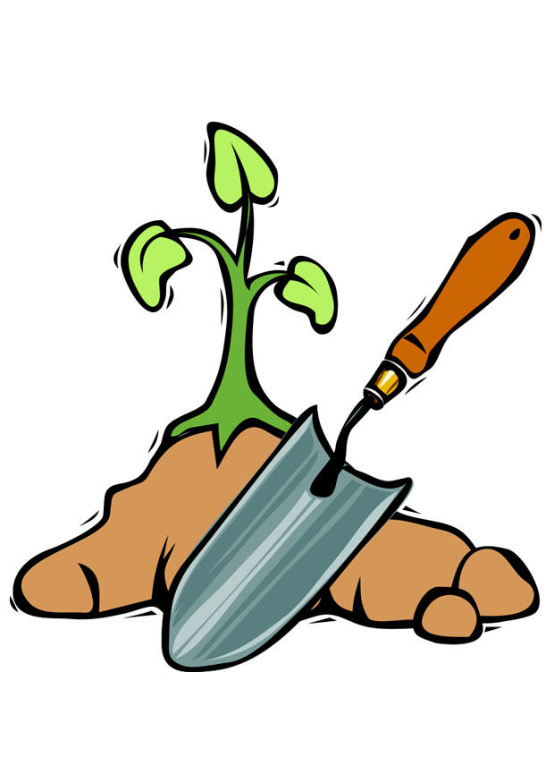 boom planten Afbeelding boom planten