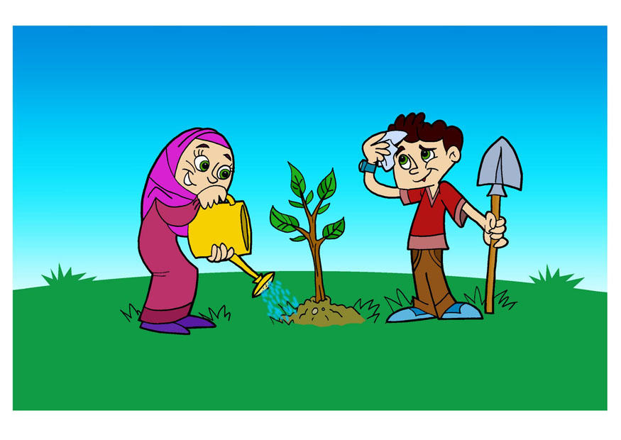 boom planten Afbeelding boom planten