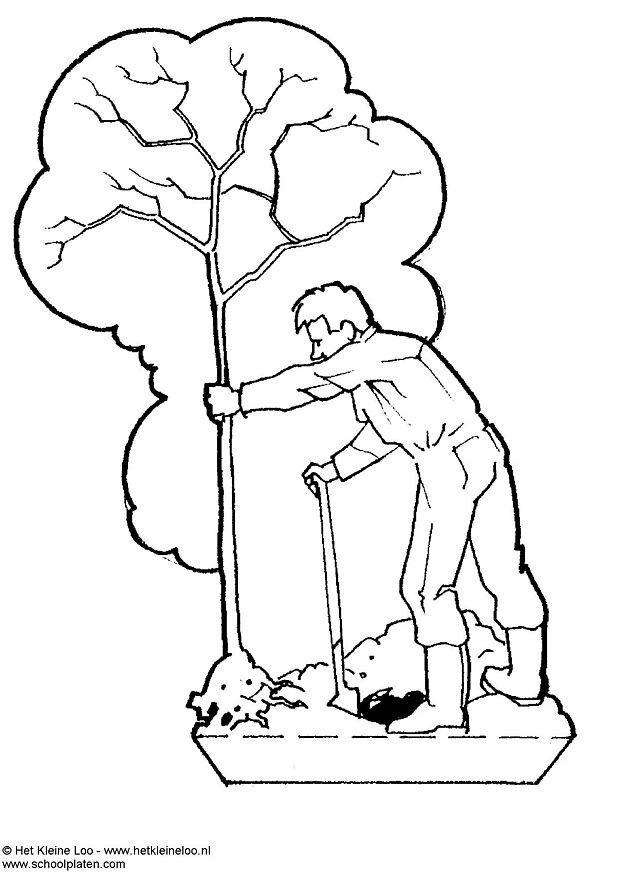 boom planten Knutselen boom planten