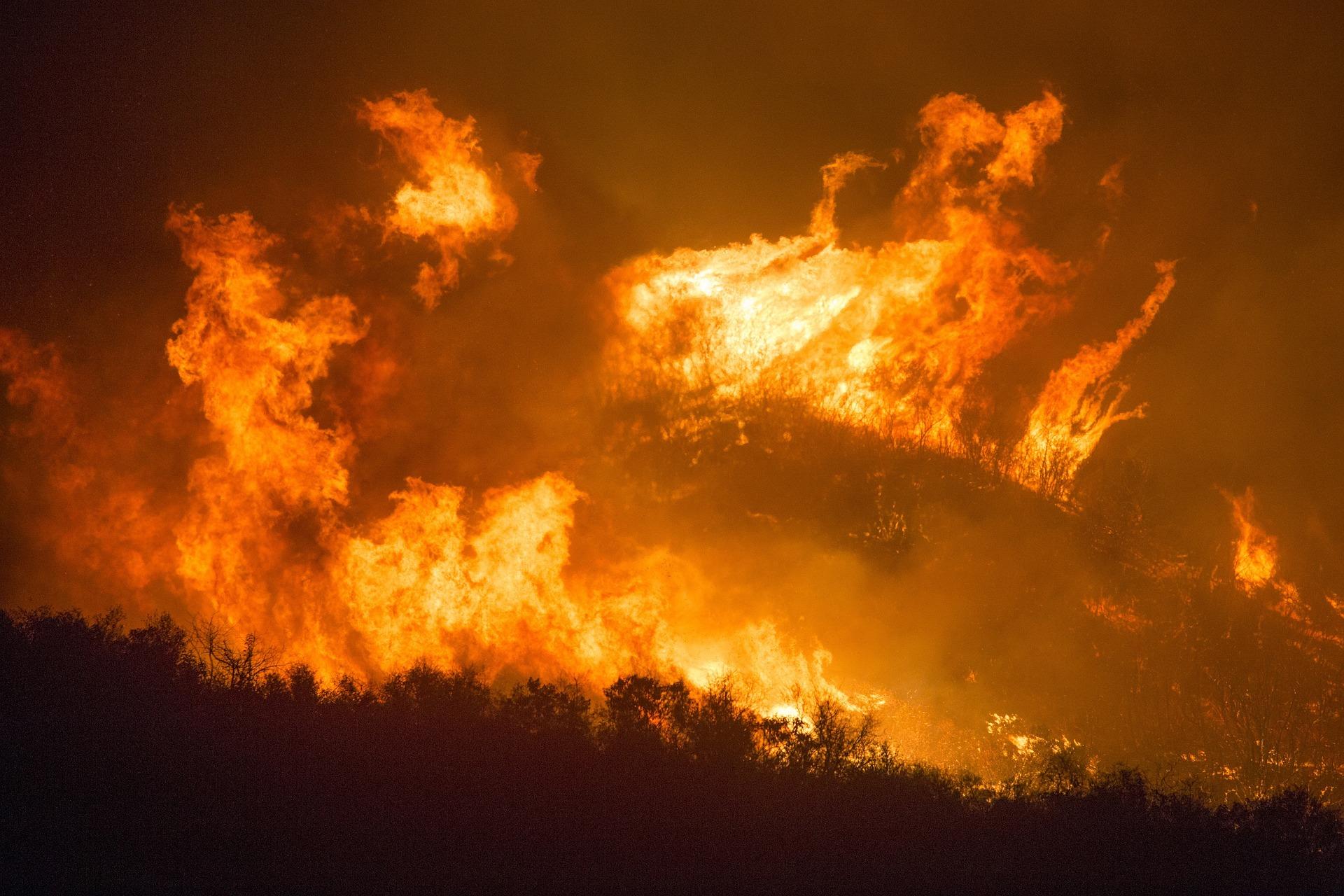 bosbrand Foto bosbrand