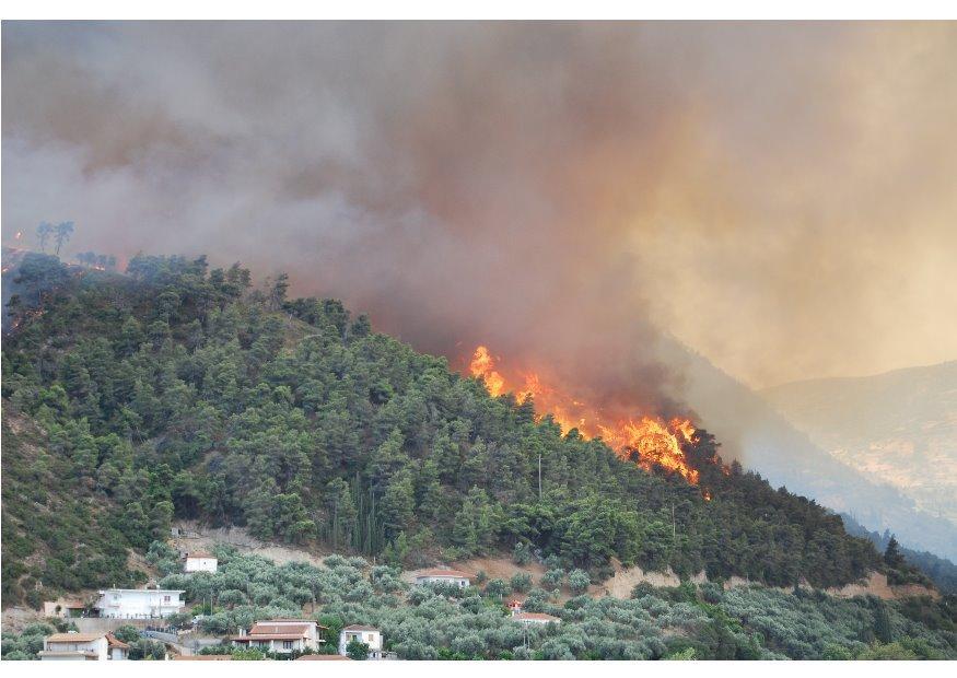 bosbrand Foto bosbrand