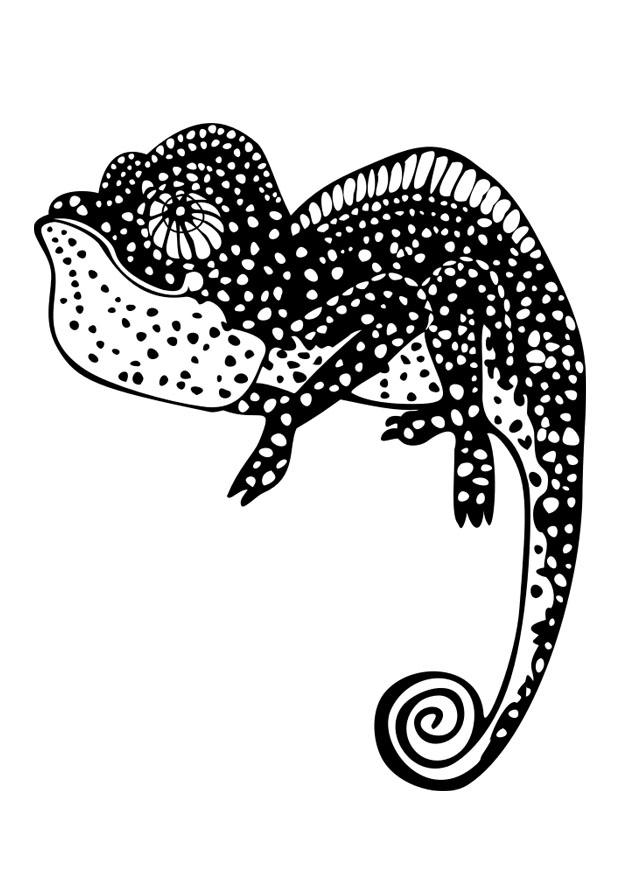chameleon Kleurplaat chameleon