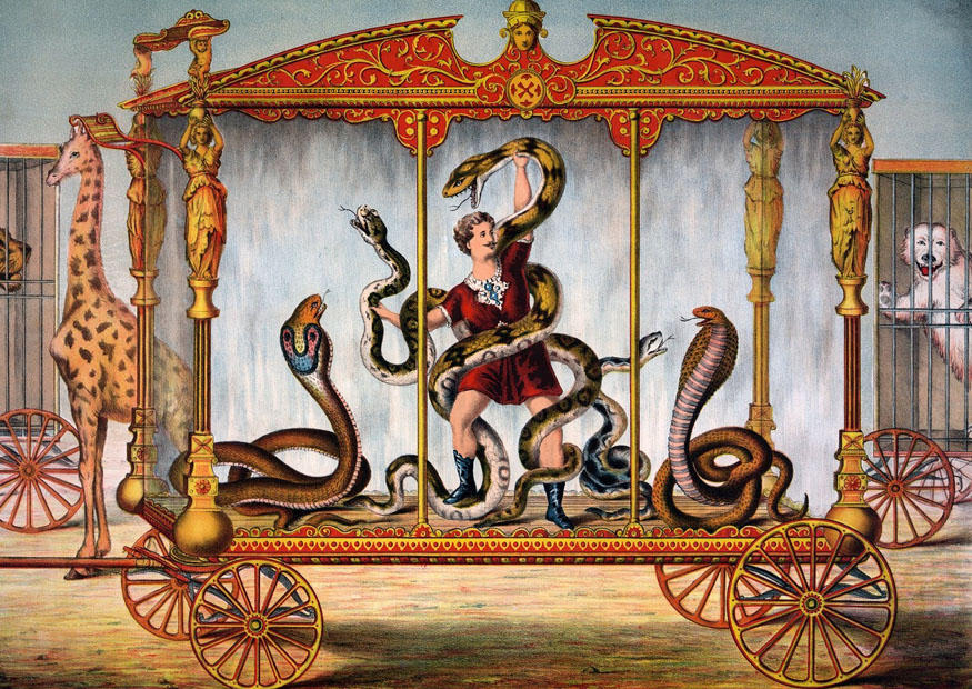 circus Afbeelding circus