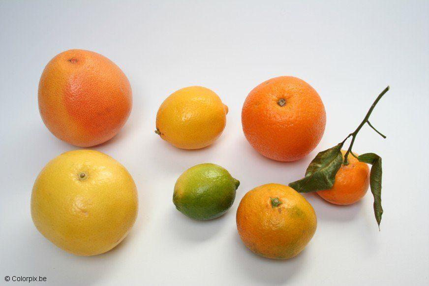 citrusvruchten Foto citrusvruchten