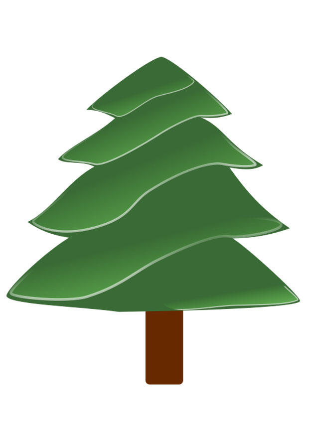 dennenboom Afbeelding dennenboom