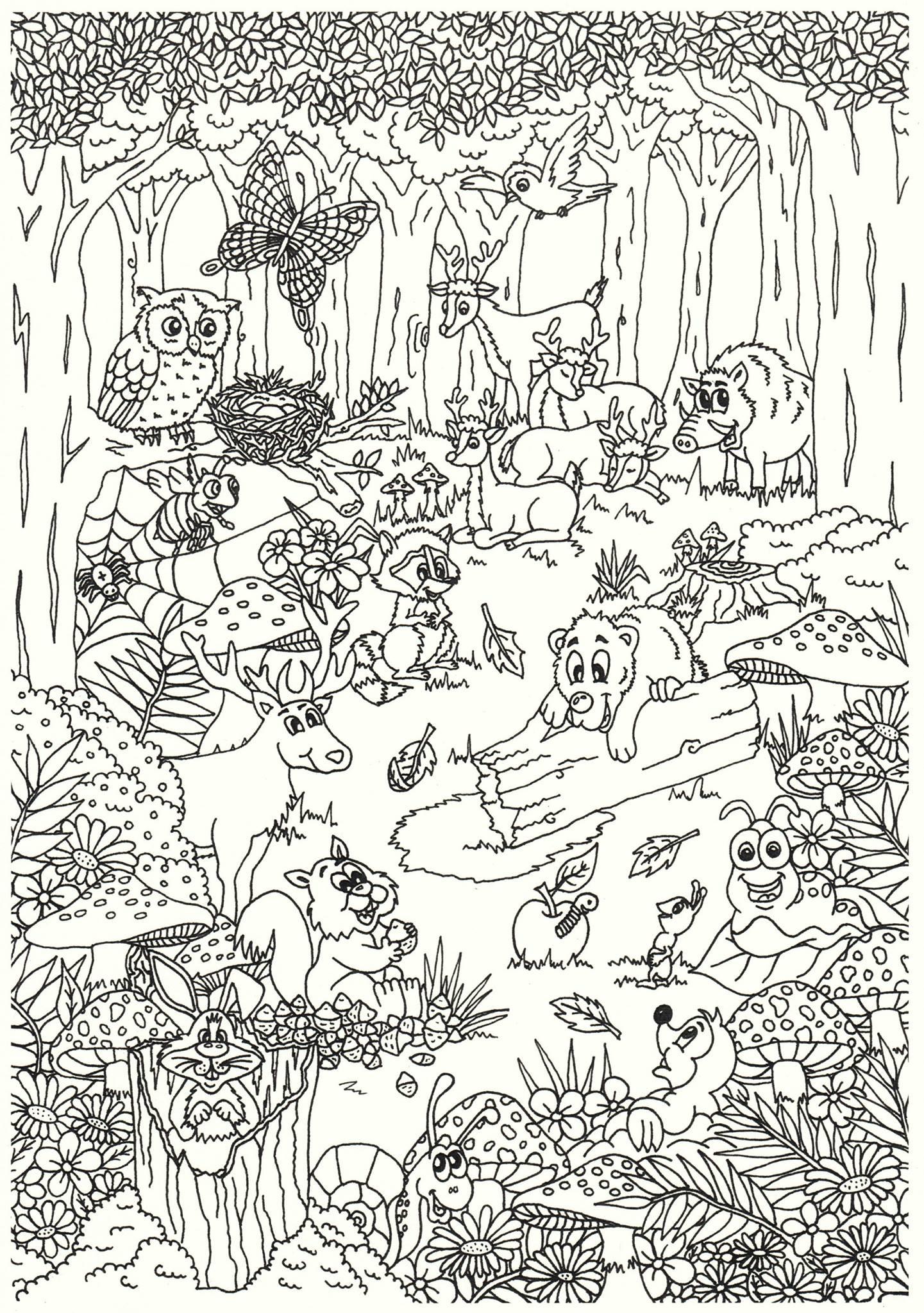 dieren in het bos Kleurplaat dieren in het bos