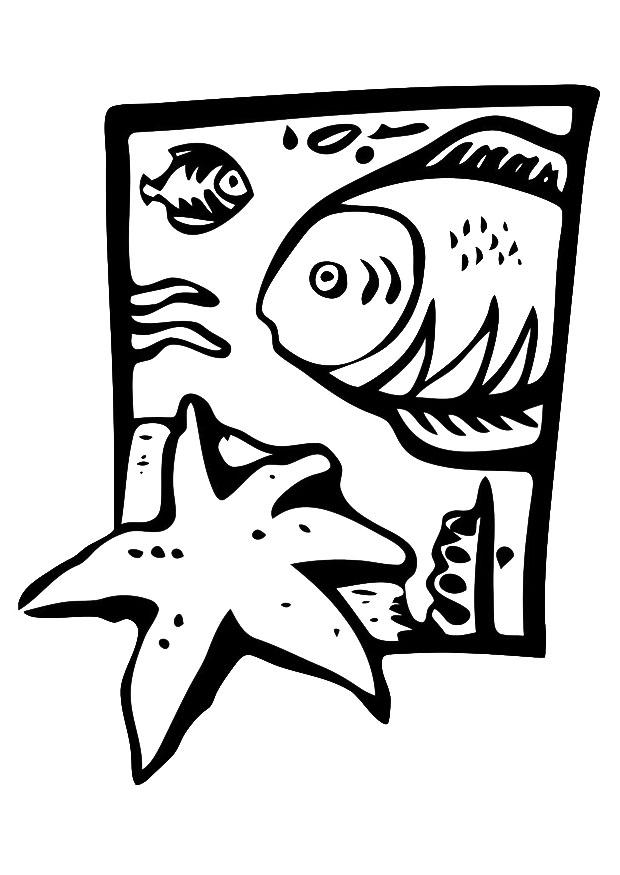 dieren in zee Kleurplaat dieren in zee