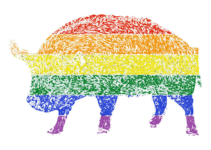 dierenrechten Afbeelding dierenrechten