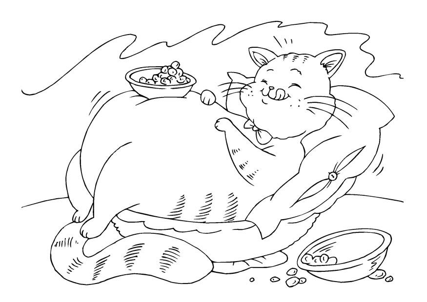 dikke kat Kleurplaat dikke kat