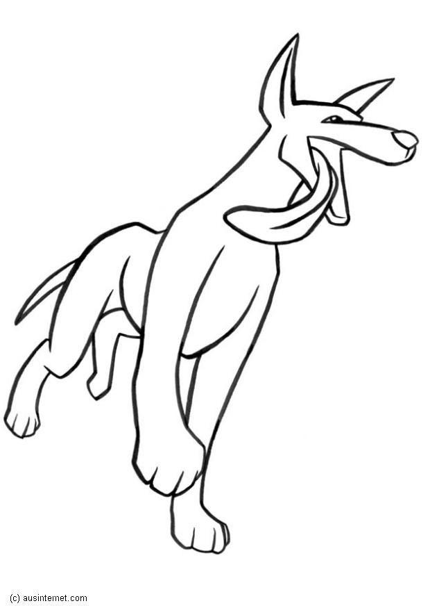 dingo Kleurplaat dingo
