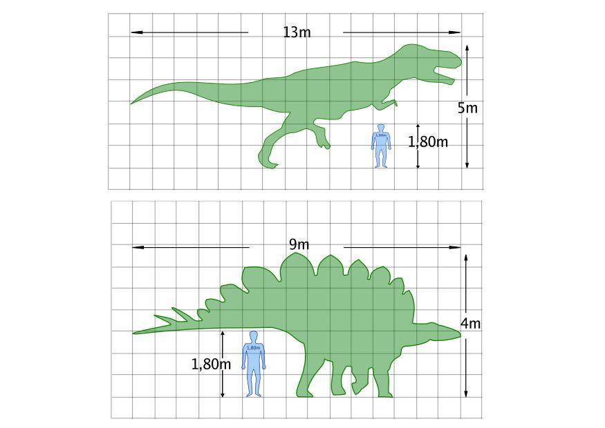 dinosaurus afmetingen Kleurplaat dinosaurus afmetingen