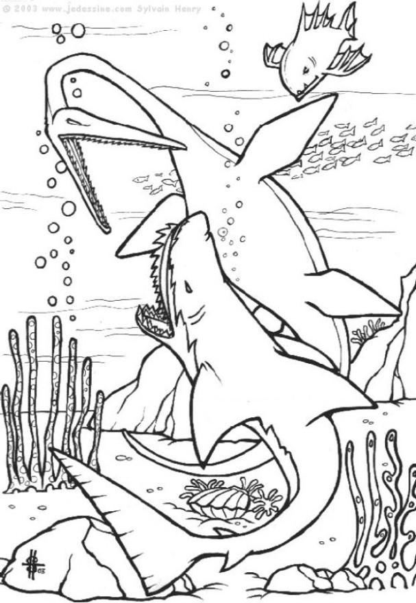dinosaurussen onder water Kleurplaat dinosaurussen onder water