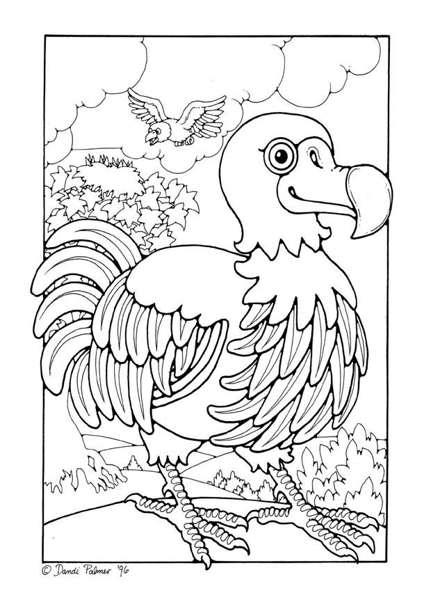 dodo Kleurplaat dodo