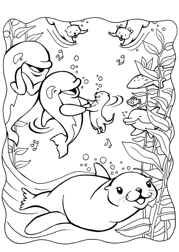 dolfijnen met zeehond Kleurplaat dolfijnen met zeehond
