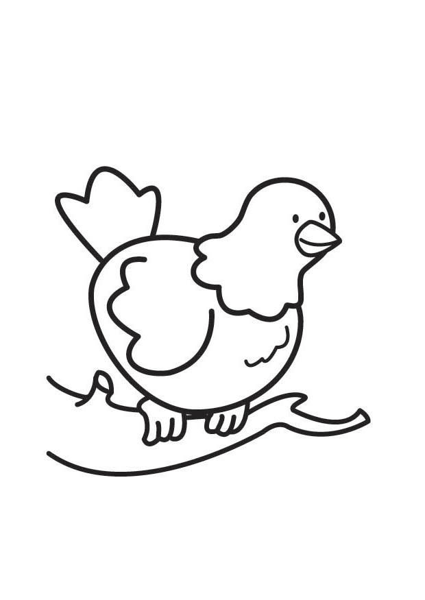 duif Kleurplaat duif