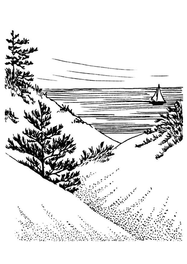 duinen Kleurplaat duinen