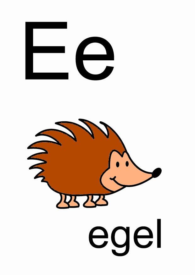 e Afbeelding e