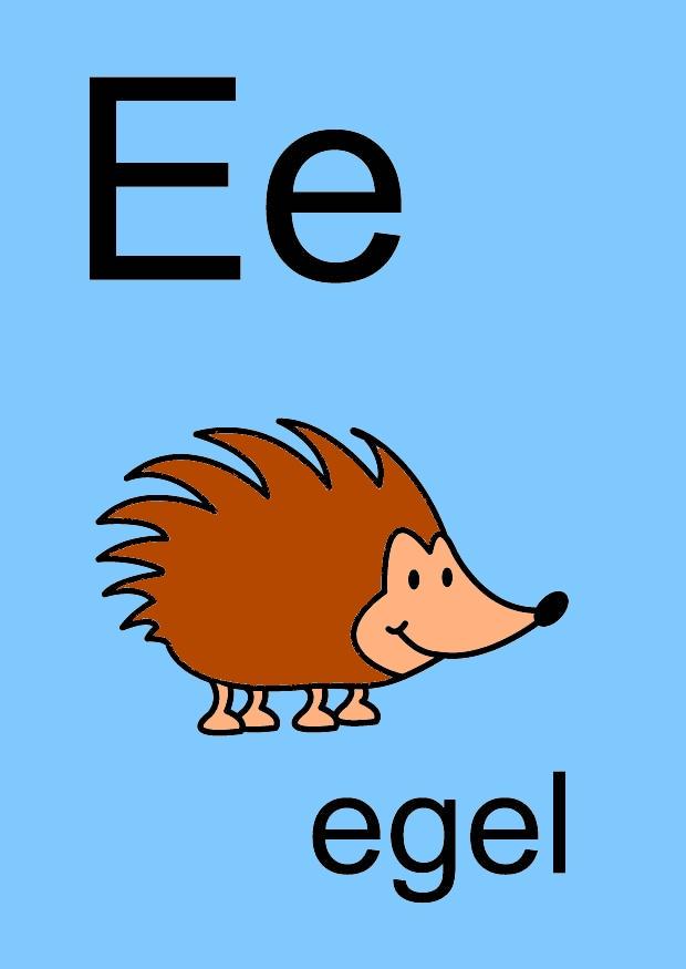 e Afbeelding e