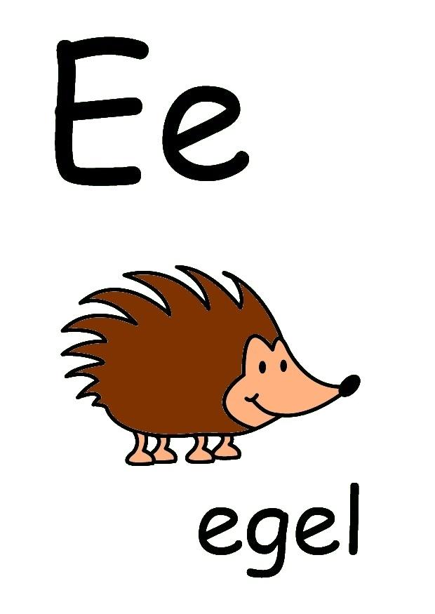 e Afbeelding e