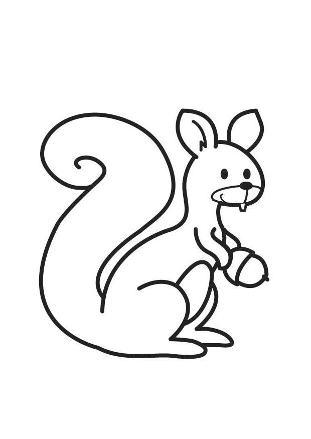 eekhoorn Kleurplaat eekhoorn