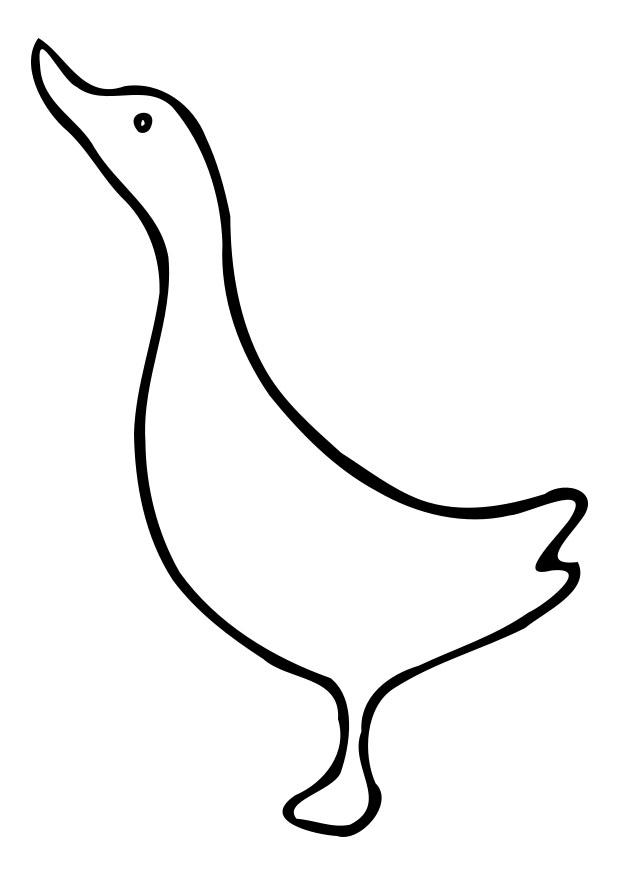 eend Kleurplaat eend