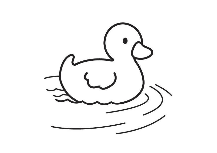 eendje Kleurplaat eendje