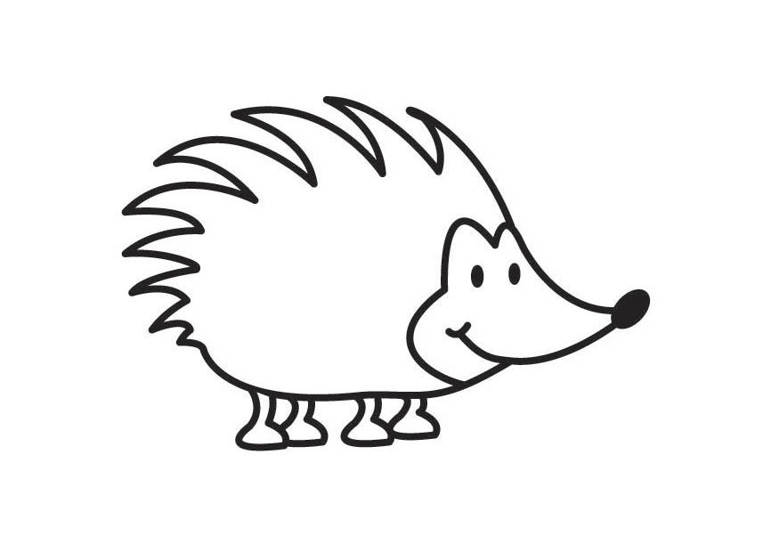 egel Kleurplaat egel
