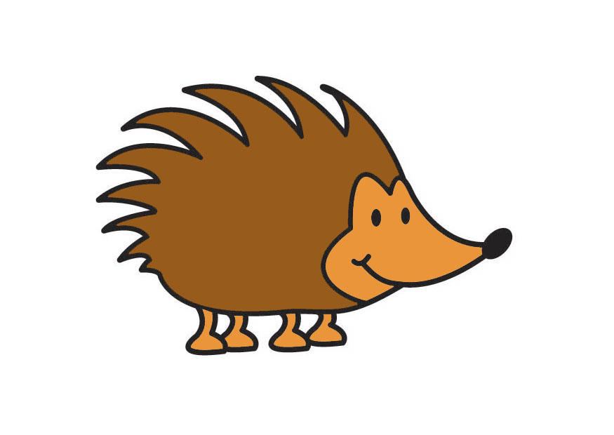 egel Afbeelding egel