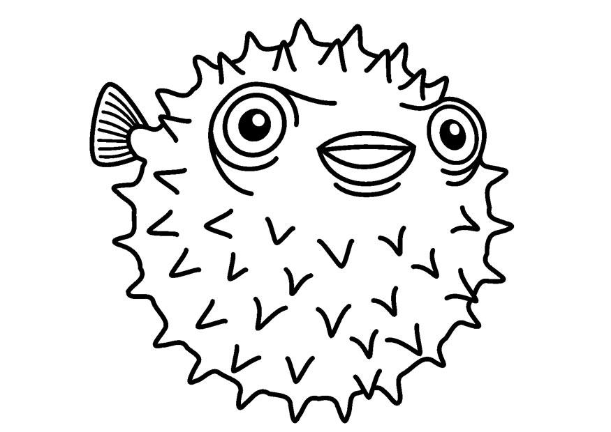egelvis Kleurplaat egelvis
