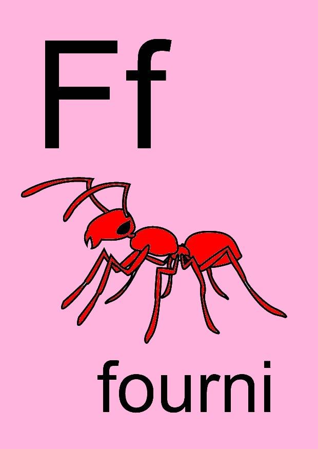 f Afbeelding f
