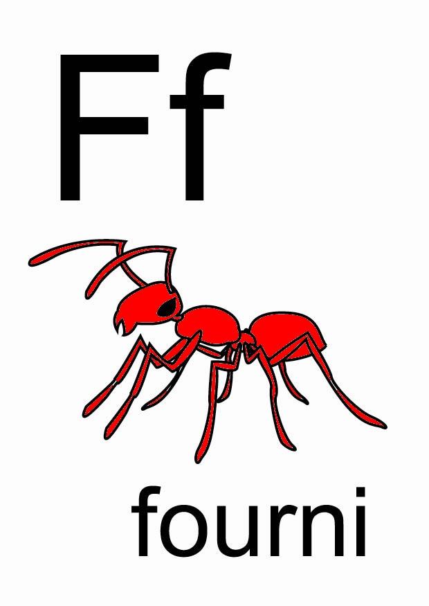 f Afbeelding f