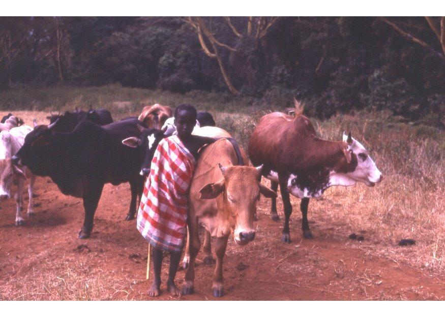Foto herder in kenia