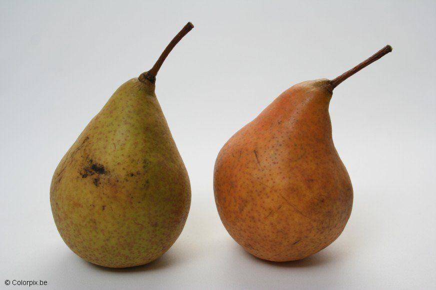 Foto peren