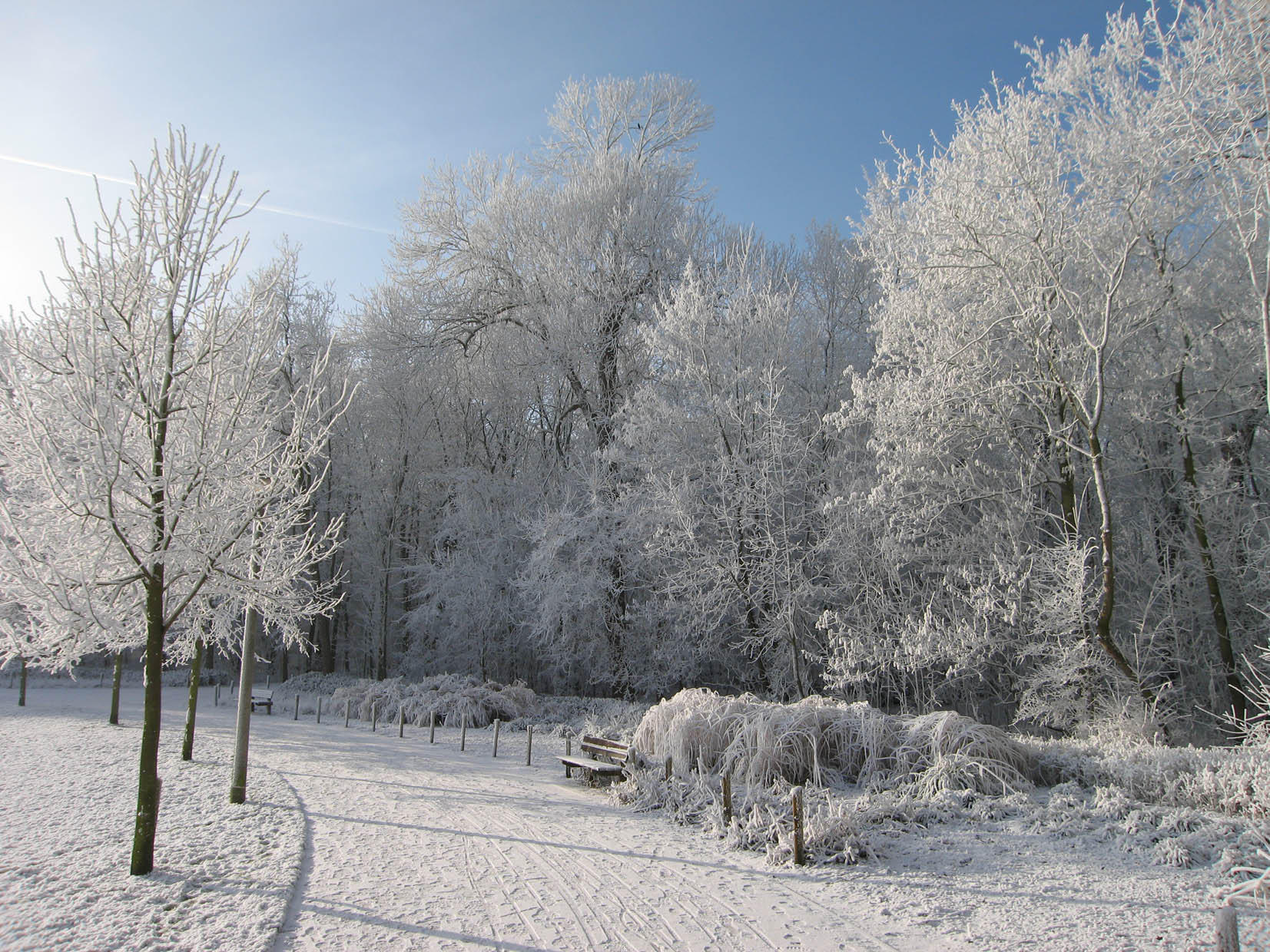 Foto winter