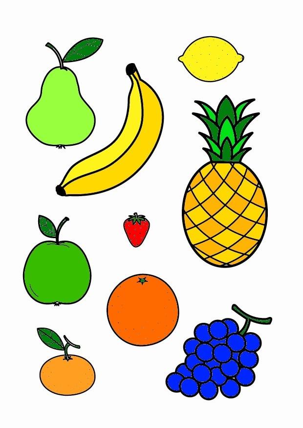 fruit Afbeelding fruit