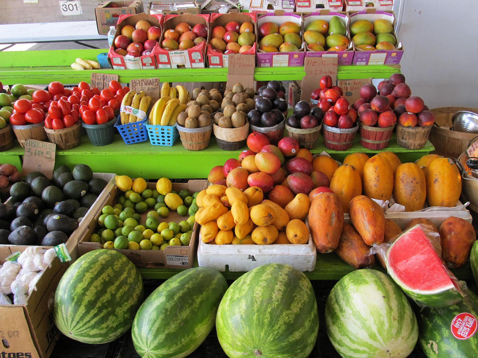 fruit Foto fruit