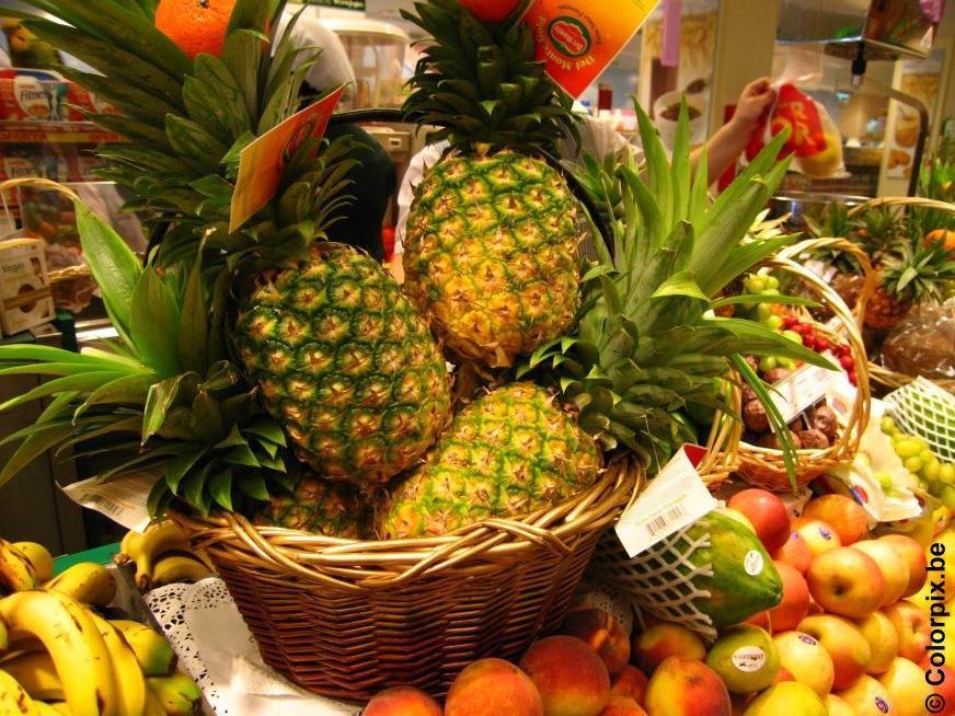 fruit Foto fruit