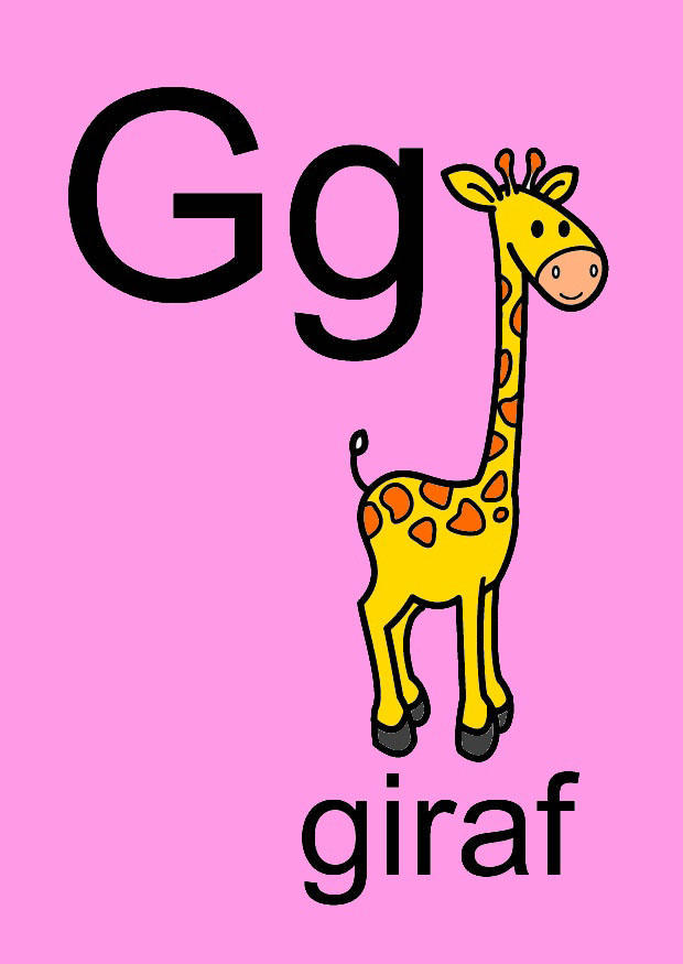 g Afbeelding g