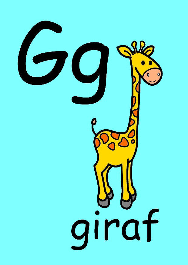 g Afbeelding g