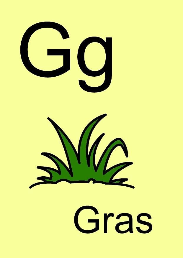 g Afbeelding g