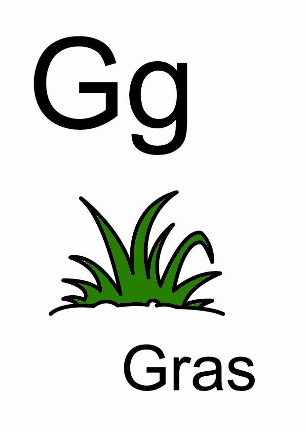 g Afbeelding g