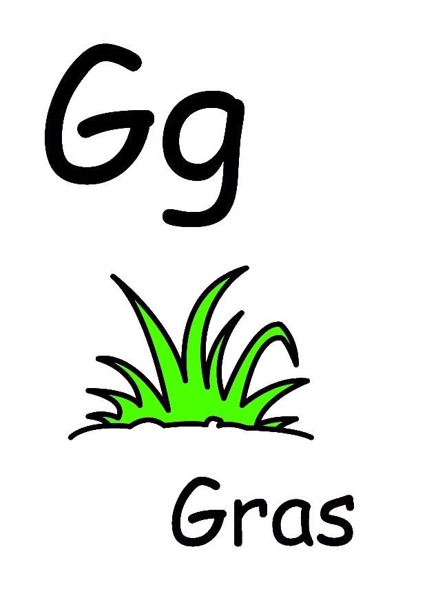 g Afbeelding g