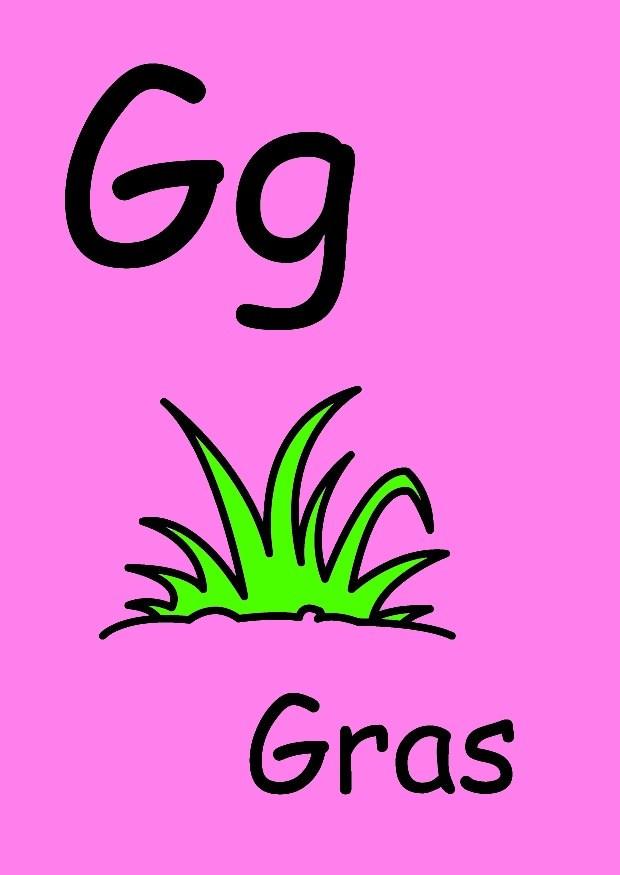 g Afbeelding g