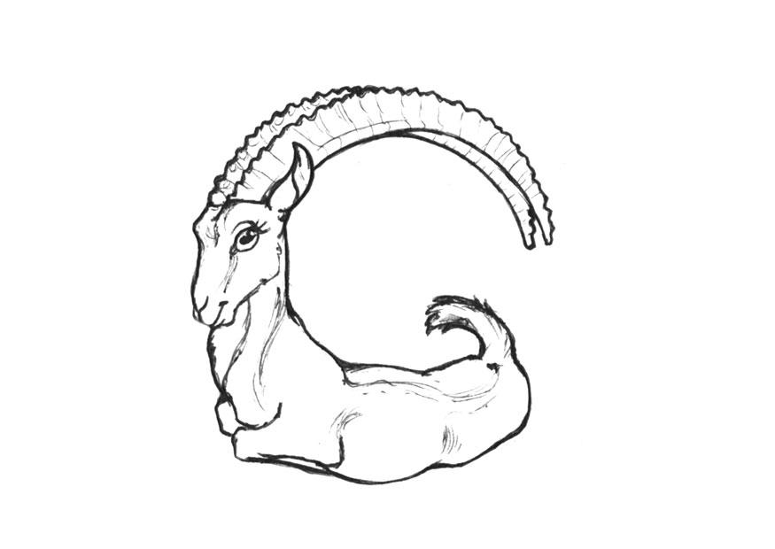 g-goat Kleurplaat g-goat