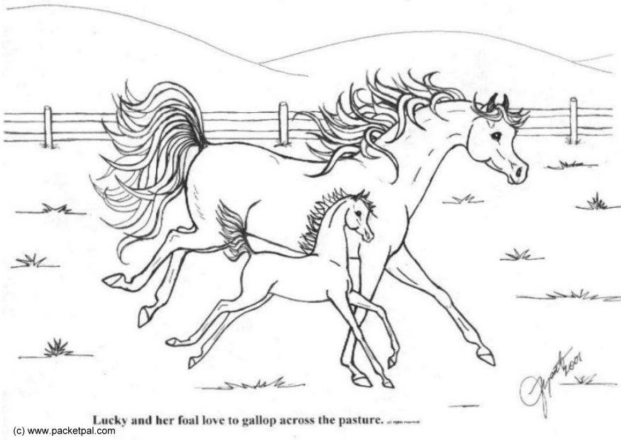 galop Kleurplaat galop