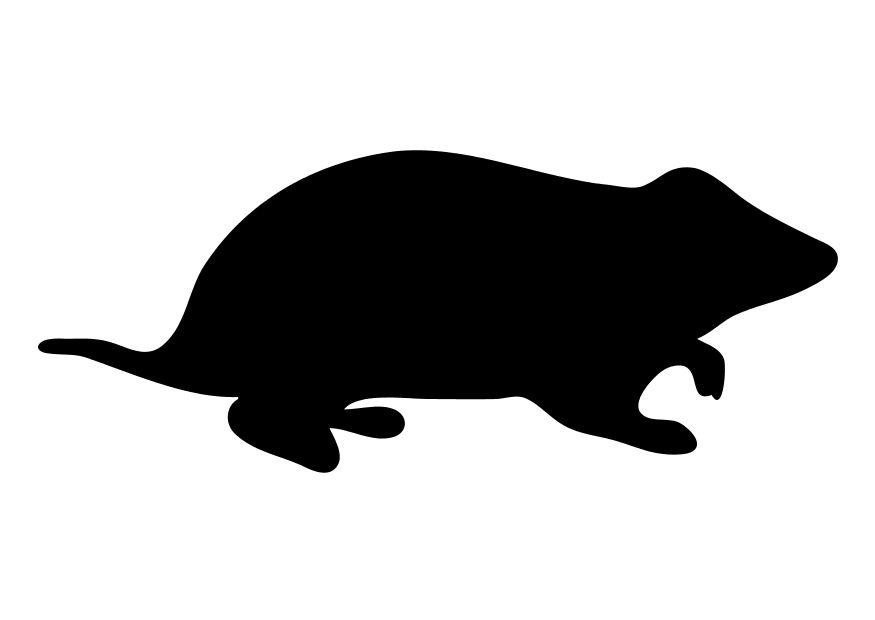 hamster Kleurplaat hamster