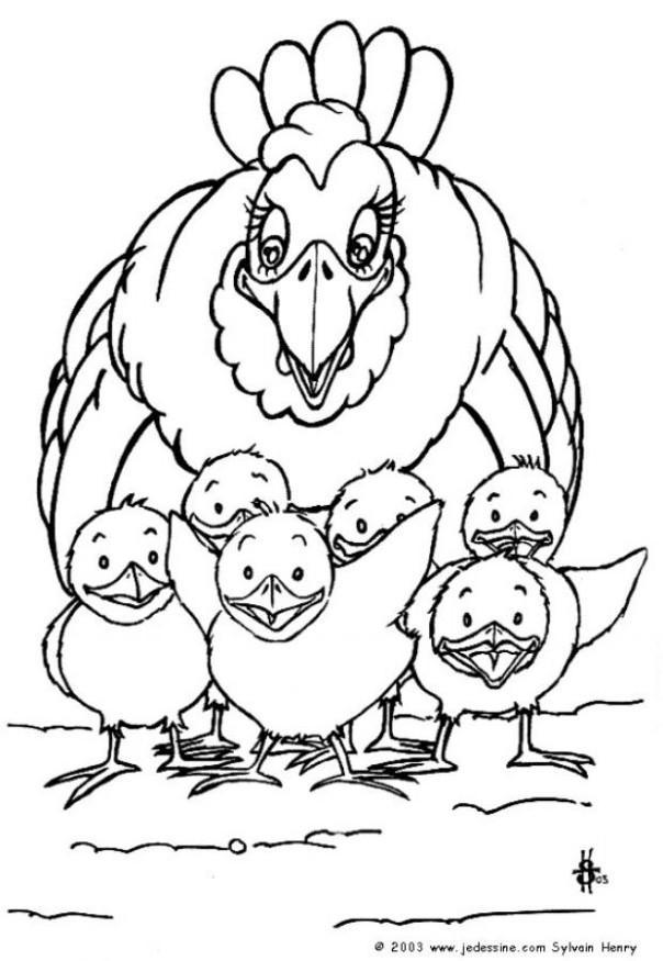 hen met kuikens Kleurplaat hen met kuikens